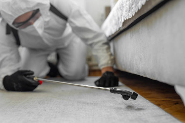 Professional Bed Bug Control technician working in Giddings, TX